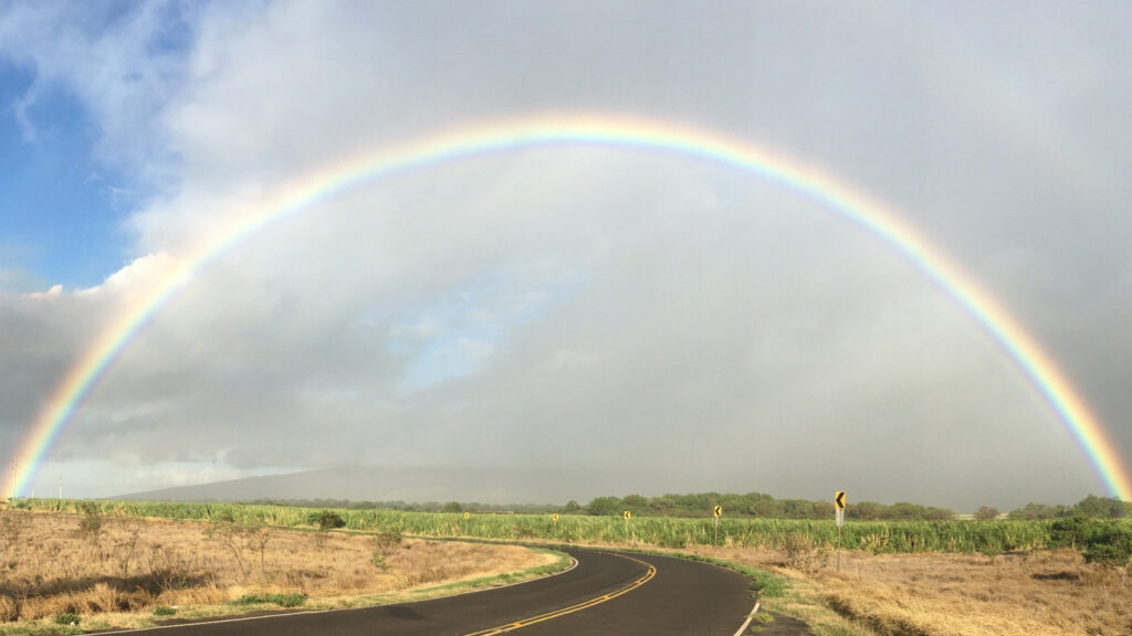 rainbow